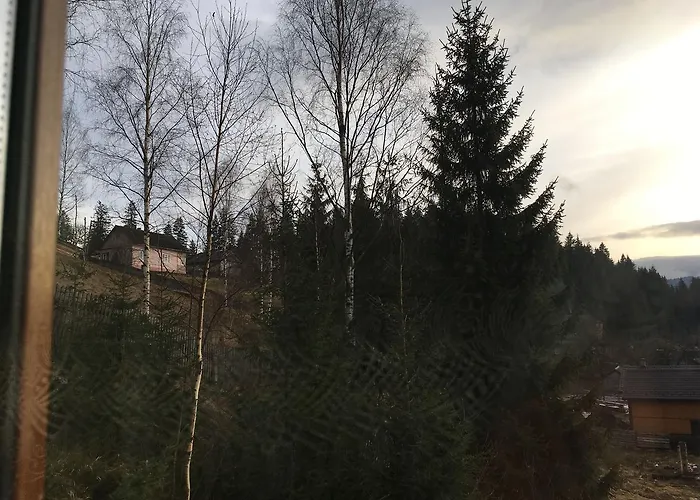 Skarbivka Inn